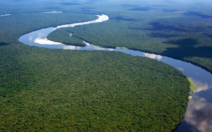 Полноводная река конго. Впадина реки Конго. Река Конго в Африке. Национальный парк Салонга. Река Конго национальный парк Салонга.